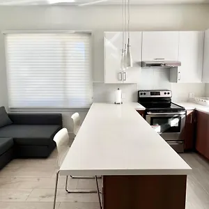 Brand New Modern Laneway House Vancouver